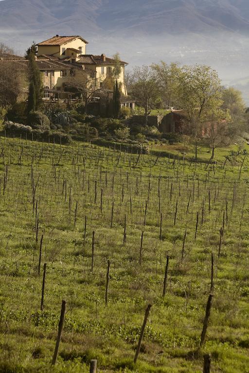 Locanda Casanuova Figline Valdarno Exteriör bild