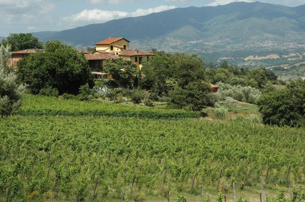 Locanda Casanuova Figline Valdarno Exteriör bild