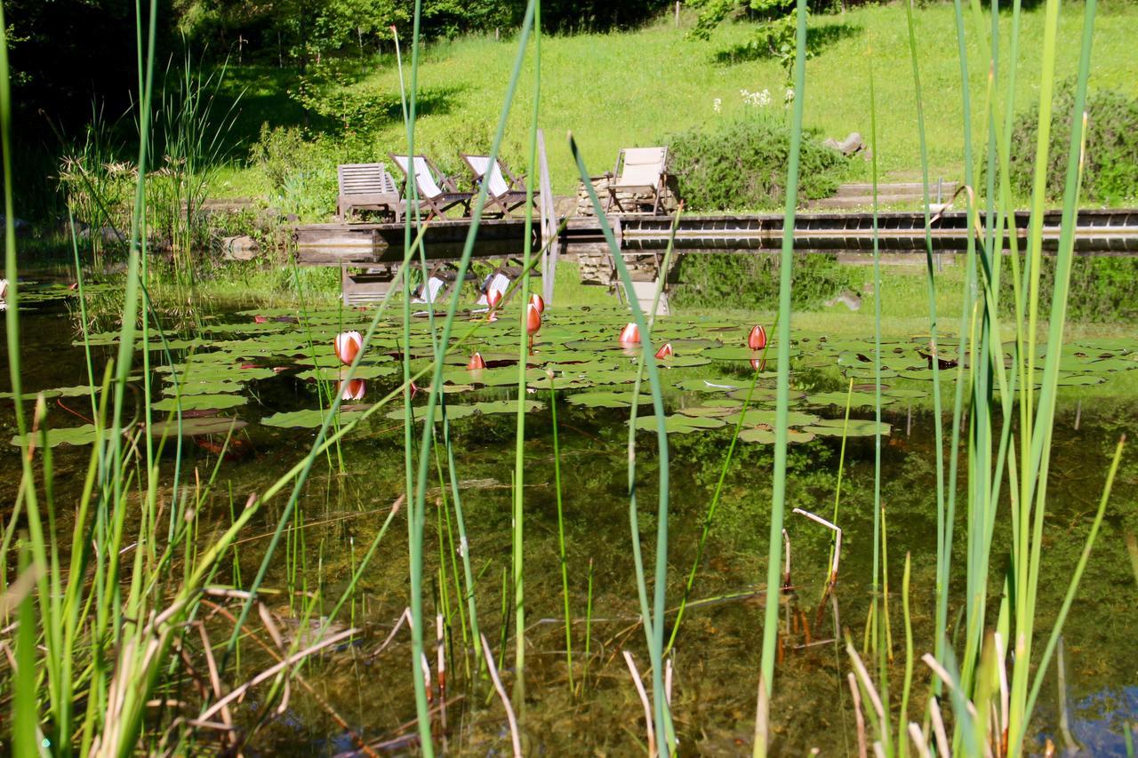 Locanda Casanuova Figline Valdarno Exteriör bild
